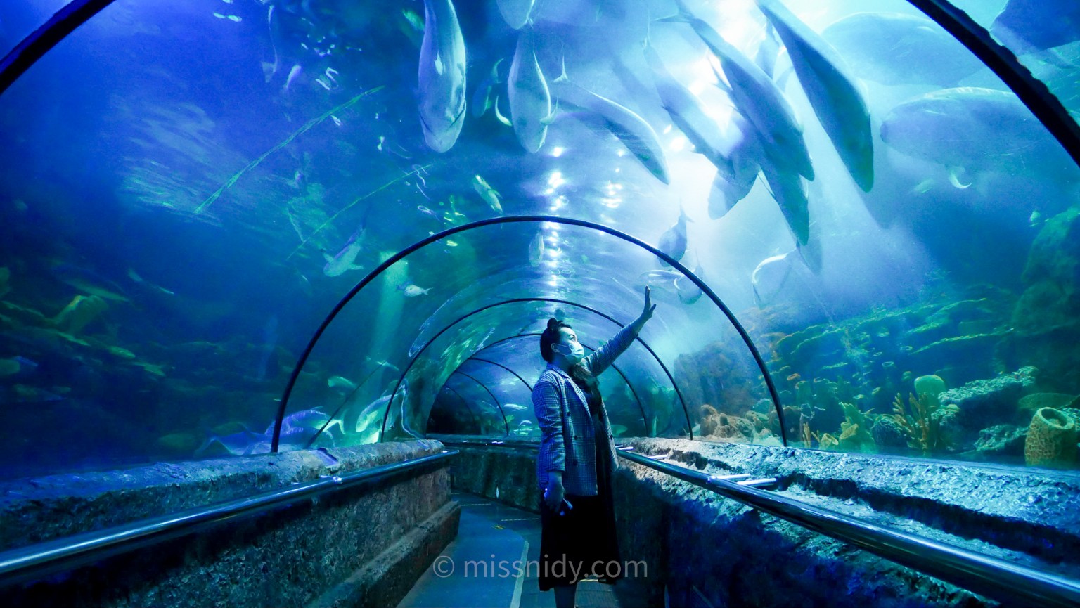 Samudra Ancol Eksplorasi