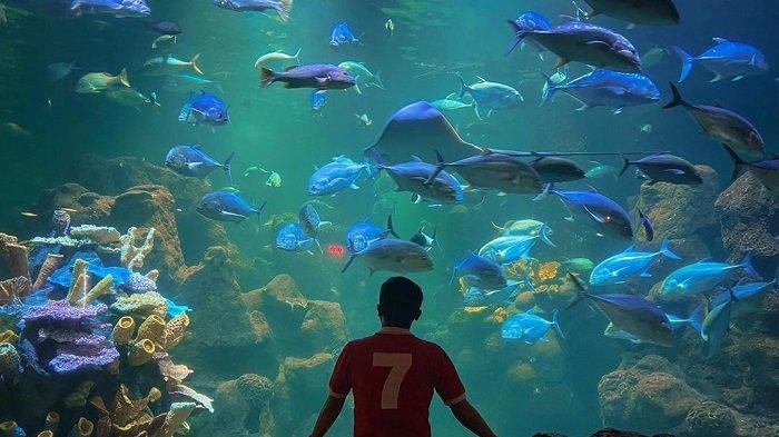 Menikmati Wisata Dunia Bawah Laut