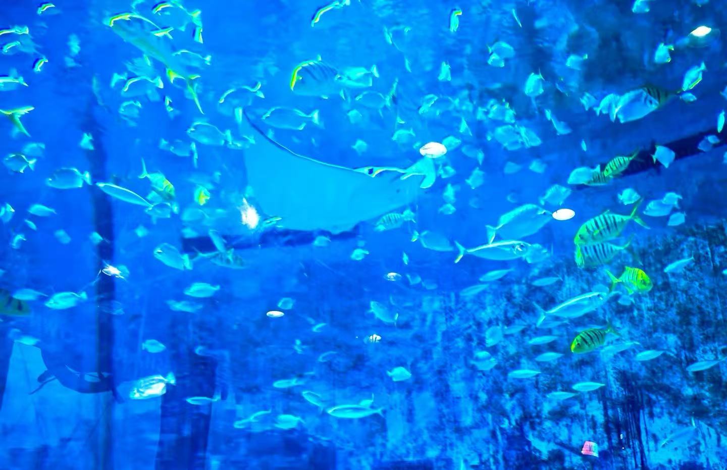 Sea Life Beijing