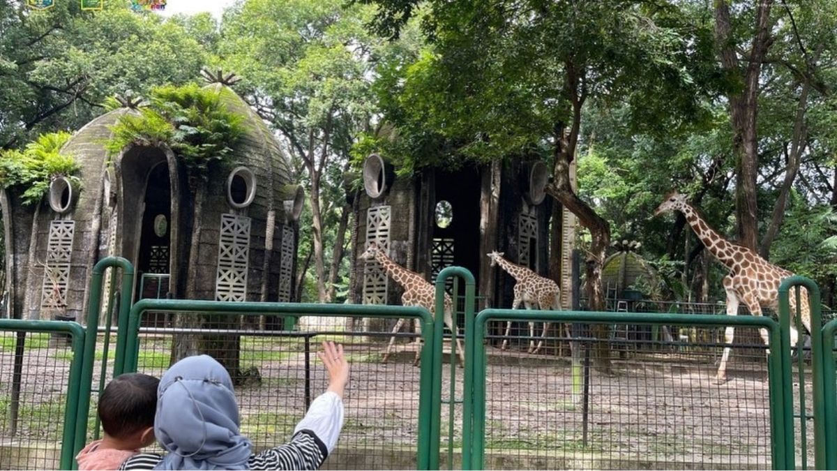 Petualangan Ragunan Zoo