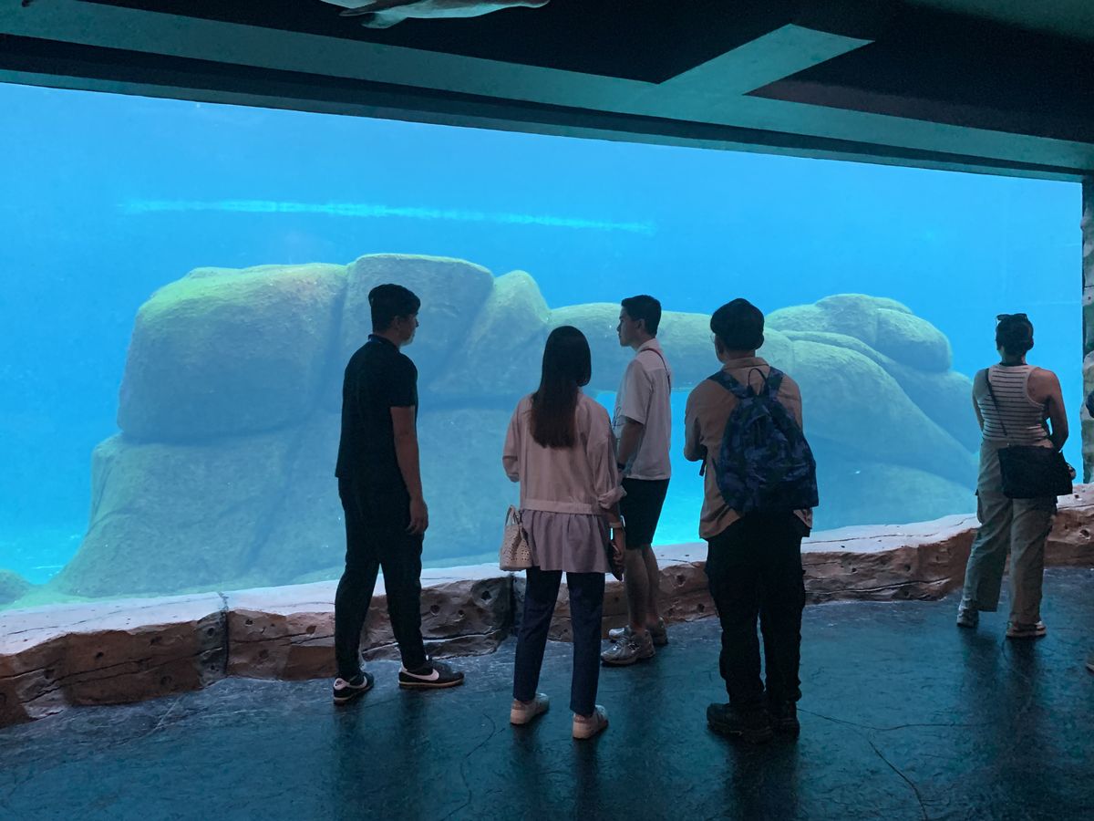 SeaWorld Bali Marine Safari