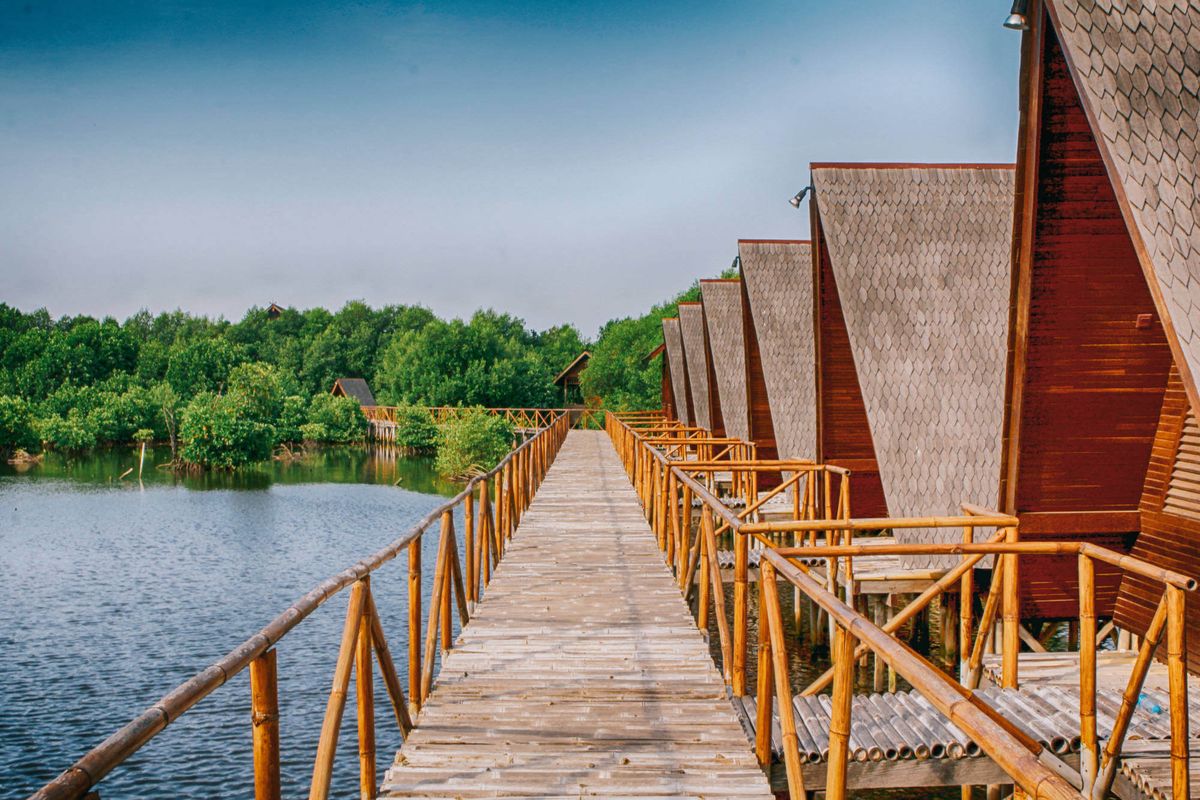 Hutan Mangrove PIK
