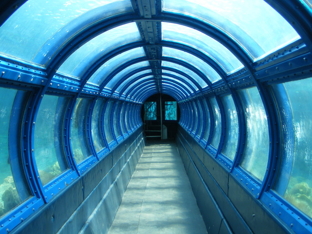 Aquarium Pulau Putri